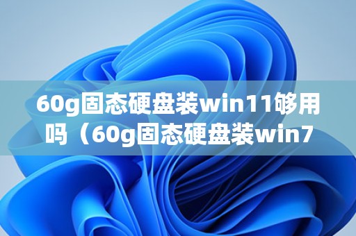 60g固态硬盘装win11够用吗（60g固态硬盘装win7够用吗）